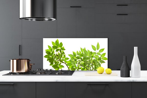 Panou sticla bucatarie Sucursale Frunze Floral verde maro