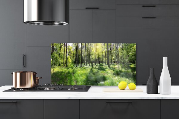 Panou sticla bucatarie Natural Pădurea Verde Maro