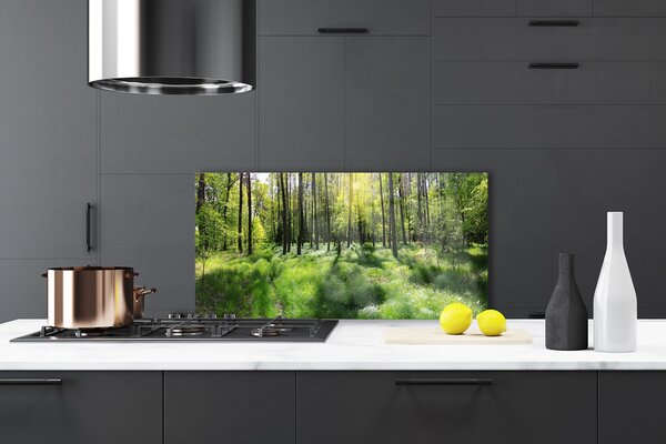 Panou sticla bucatarie Natural Pădurea Verde Maro