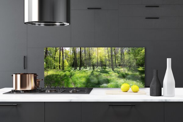 Panou sticla bucatarie Natural Pădurea Verde Maro