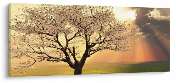 Tablou cu copac pe luncă (120x50 cm)