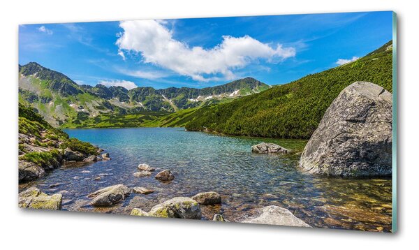Sticlă pentru bucătărie Tatra Valley