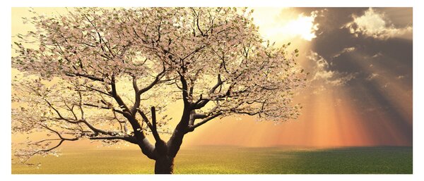 Tablou cu copac pe luncă (120x50 cm)