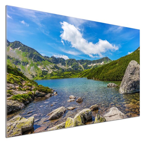 Sticlă pentru bucătărie Tatra Valley