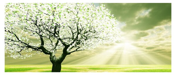 Tablou cu copaci pe luncă (120x50 cm)