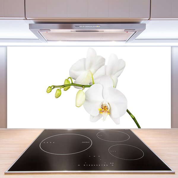 Panou sticla bucatarie Flori Floral alb