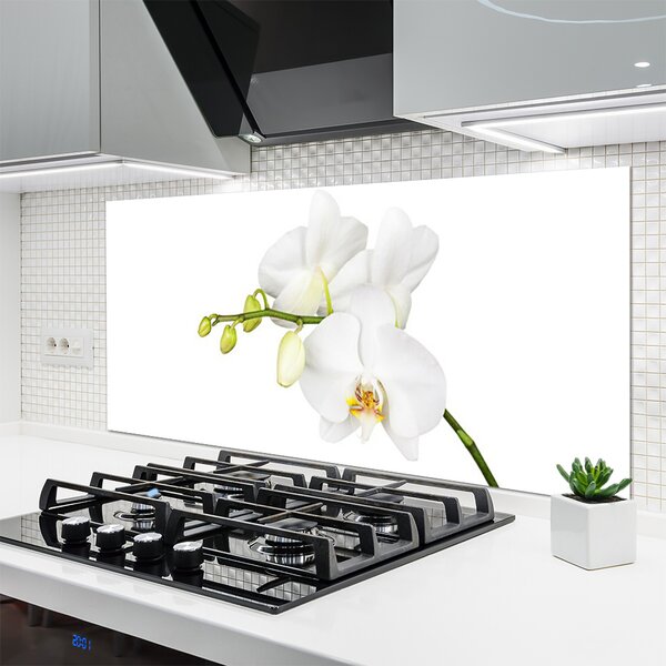 Panou sticla bucatarie Flori Floral alb