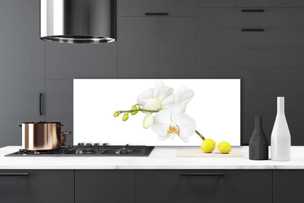 Panou sticla bucatarie Flori Floral alb