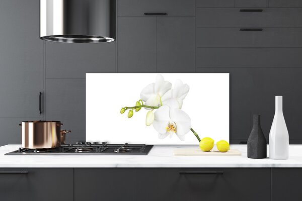 Panou sticla bucatarie Flori Floral alb