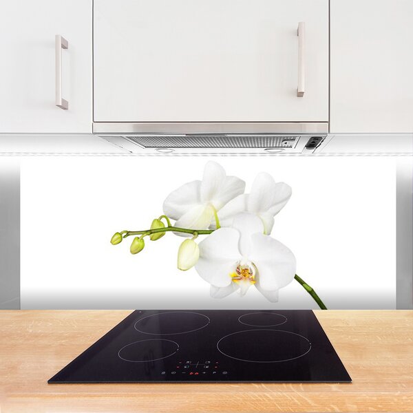 Panou sticla bucatarie Flori Floral alb