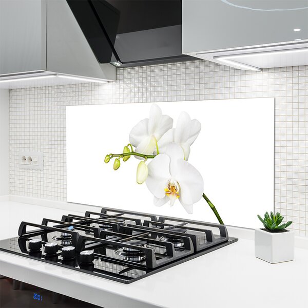 Panou sticla bucatarie Flori Floral alb
