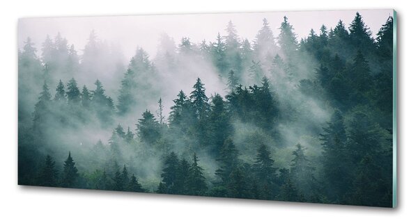 Sticlă bucătărie Ceață peste pădure
