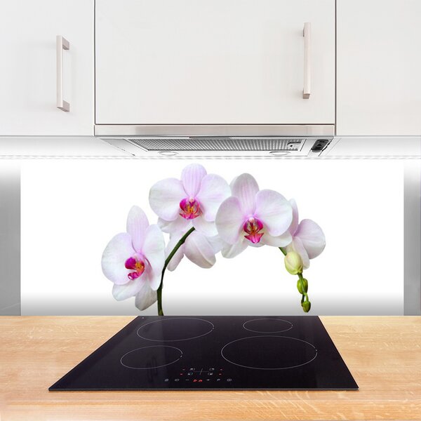 Panou sticla bucatarie Flori Floral Alb Roz