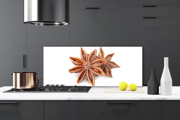 Panou sticla bucatarie Cinnamon Brown Floral