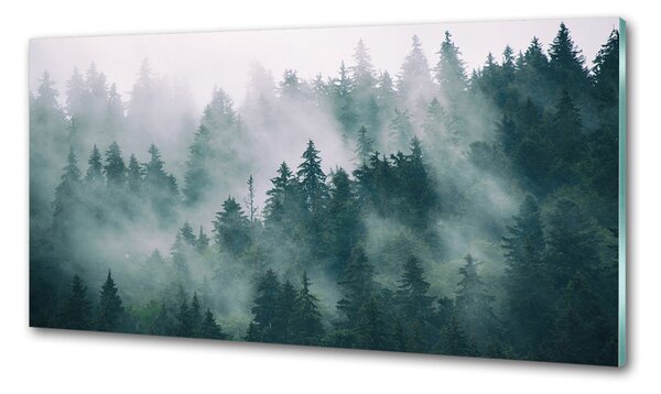 Sticlă bucătărie Ceață peste pădure