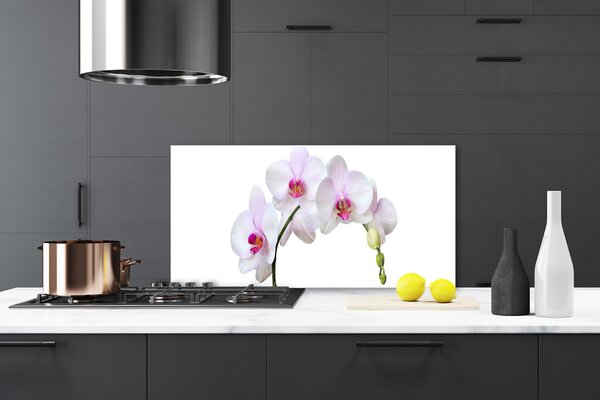 Panou sticla bucatarie Flori Floral Alb Roz