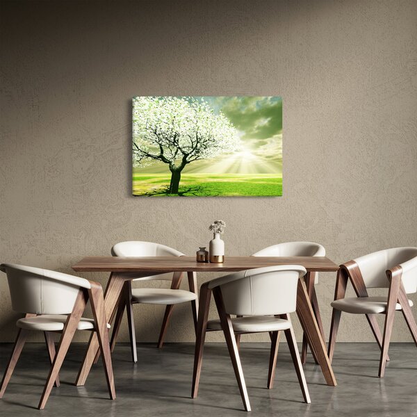 Tablou cu copaci pe luncă (90x60 cm)