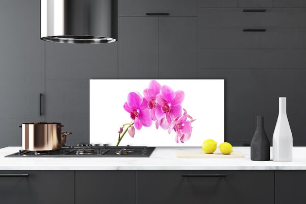 Panou sticla bucatarie Flori roz Floral