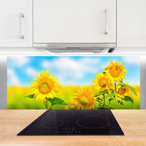 Panou sticla bucatarie Floarea soarelui Floral Galben