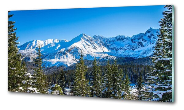 Panou sticla securizata bucatarie panorama Tatra