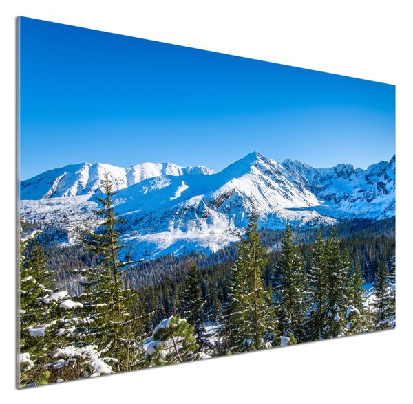 Panou sticla securizata bucatarie panorama Tatra