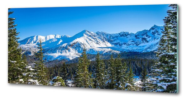 Panou sticla securizata bucatarie panorama Tatra