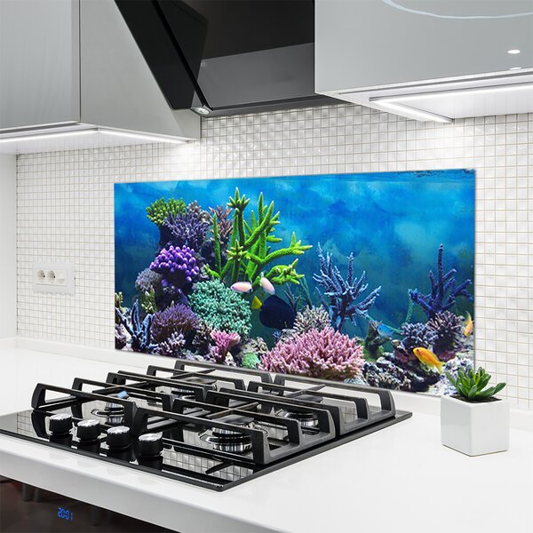 Panou sticla bucatarie Coral Reef Natura Multi