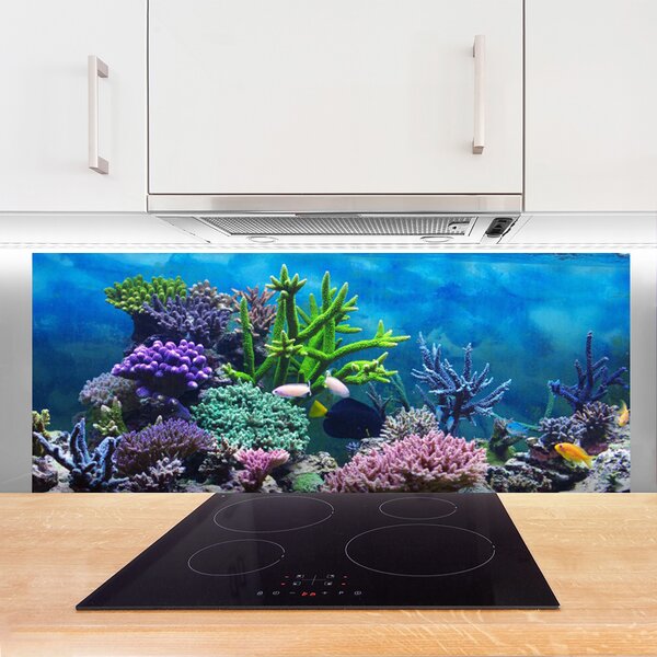 Panou sticla bucatarie Coral Reef Natura Multi