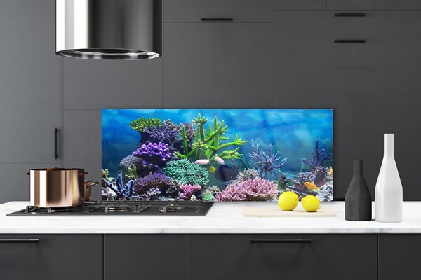 Panou sticla bucatarie Coral Reef Natura Multi