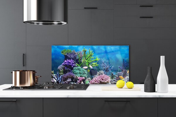 Panou sticla bucatarie Coral Reef Natura Multi