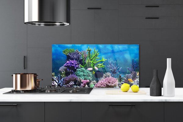 Panou sticla bucatarie Coral Reef Natura Multi