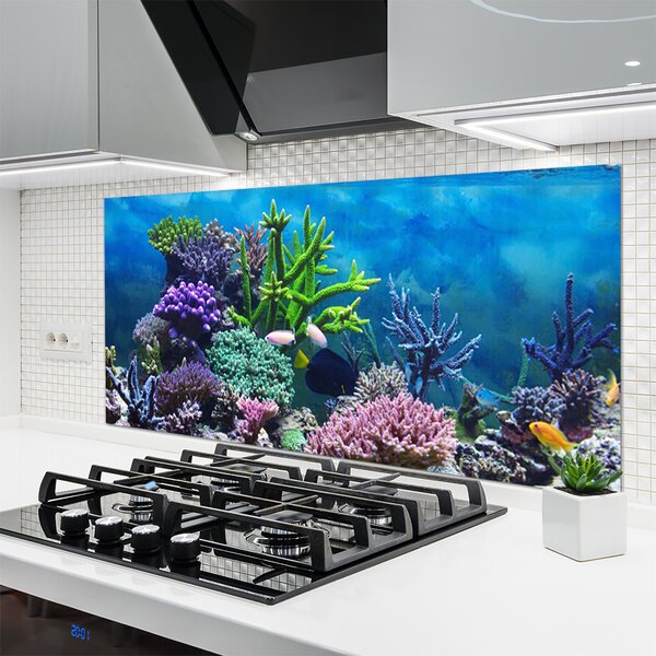 Panou sticla bucatarie Coral Reef Natura Multi