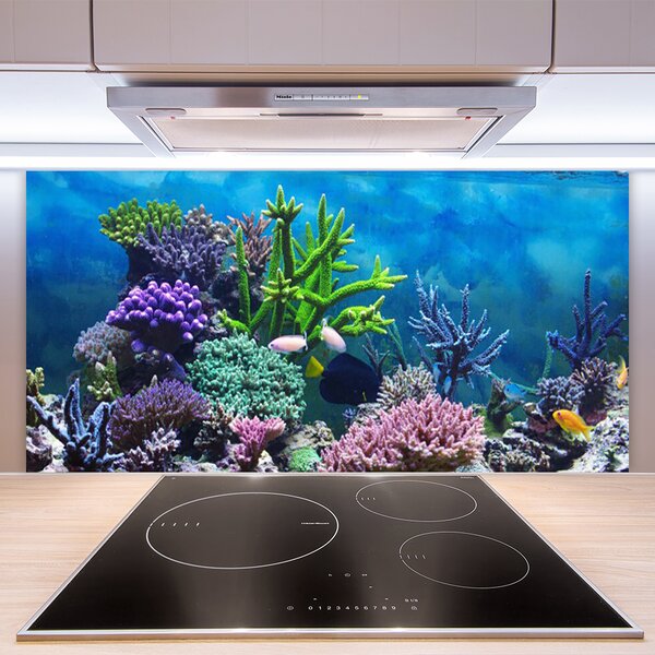 Panou sticla bucatarie Coral Reef Natura Multi
