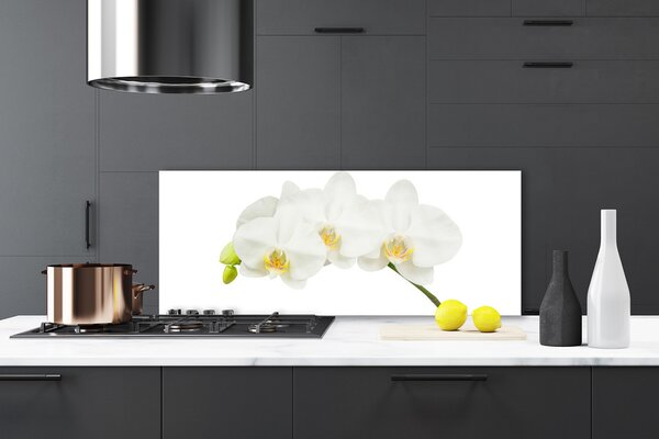 Panou sticla bucatarie Flori Floral alb