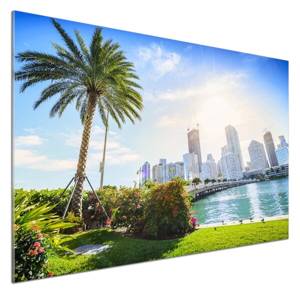Sticlă pentru bucătărie Miami Statele Unite ale Americii