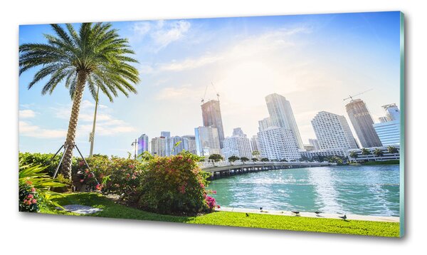 Sticlă pentru bucătărie Miami Statele Unite ale Americii