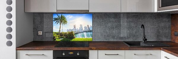 Sticlă pentru bucătărie Miami Statele Unite ale Americii