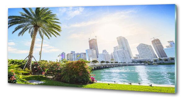 Sticlă pentru bucătărie Miami Statele Unite ale Americii