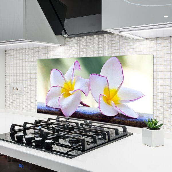 Panou sticla bucatarie Flori Floral Verde Roz