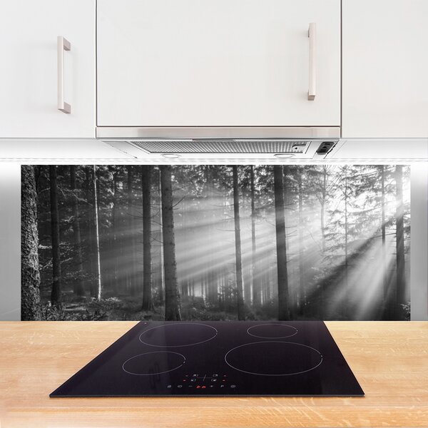 Panou sticla bucatarie Forest Nature Gray
