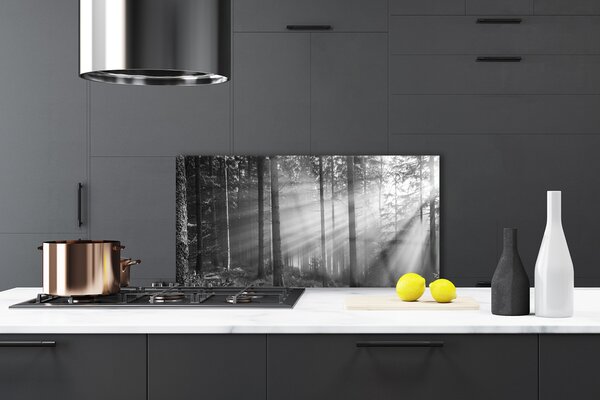 Panou sticla bucatarie Forest Nature Gray