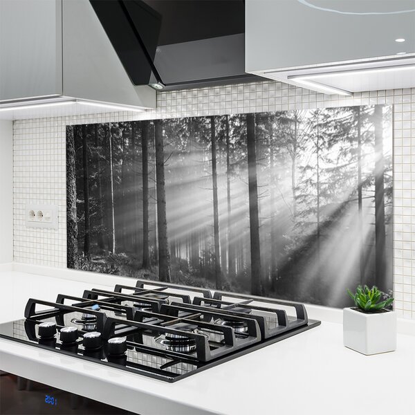 Panou sticla bucatarie Forest Nature Gray