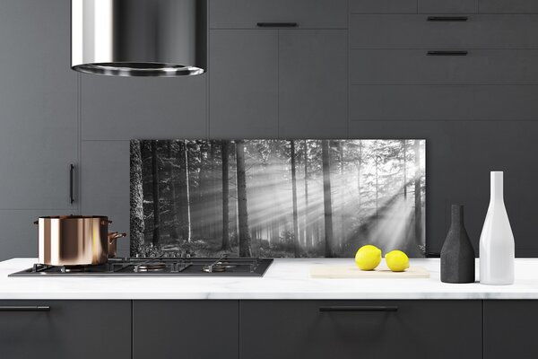 Panou sticla bucatarie Forest Nature Gray