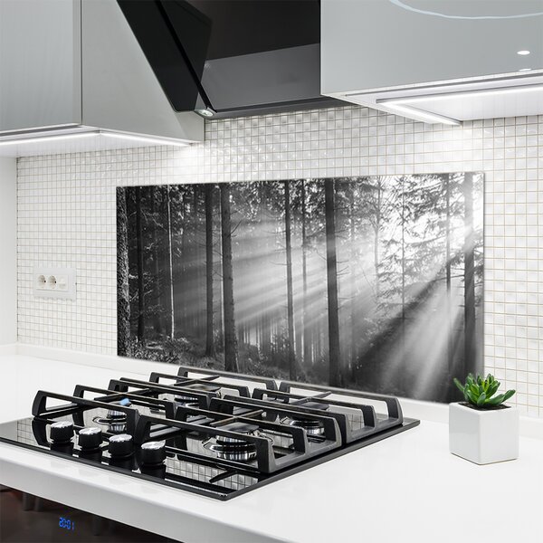 Panou sticla bucatarie Forest Nature Gray