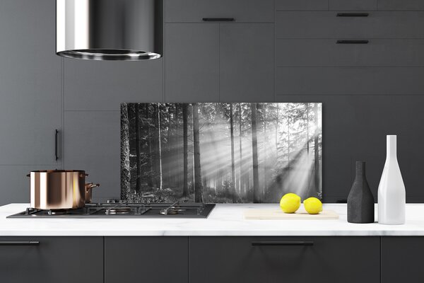 Panou sticla bucatarie Forest Nature Gray