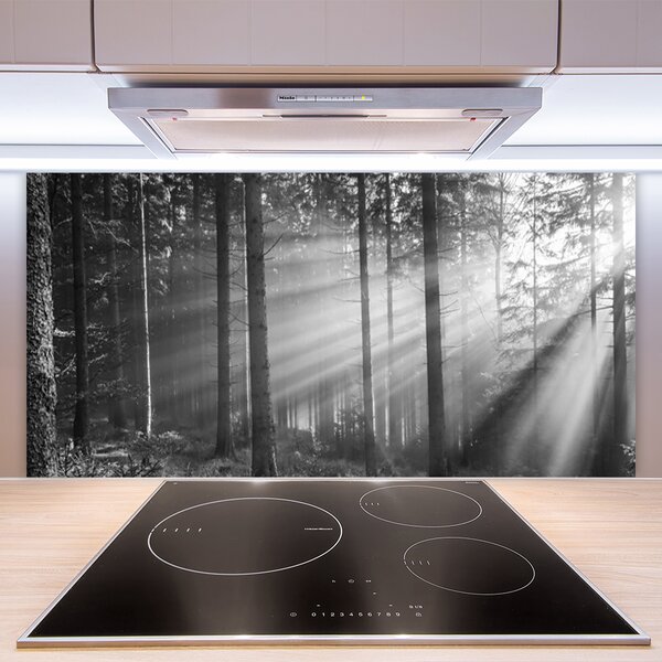 Panou sticla bucatarie Forest Nature Gray