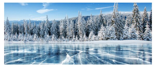 Tablou cu lacul înghețat și copacii înzăpeziți (120x50 cm)