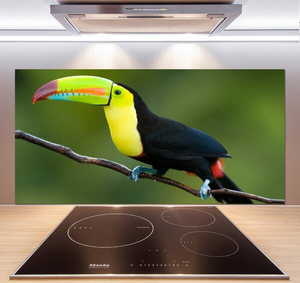 Panou de bucătărie Toucan