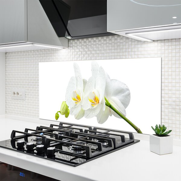 Panou sticla bucatarie Flori Floral alb