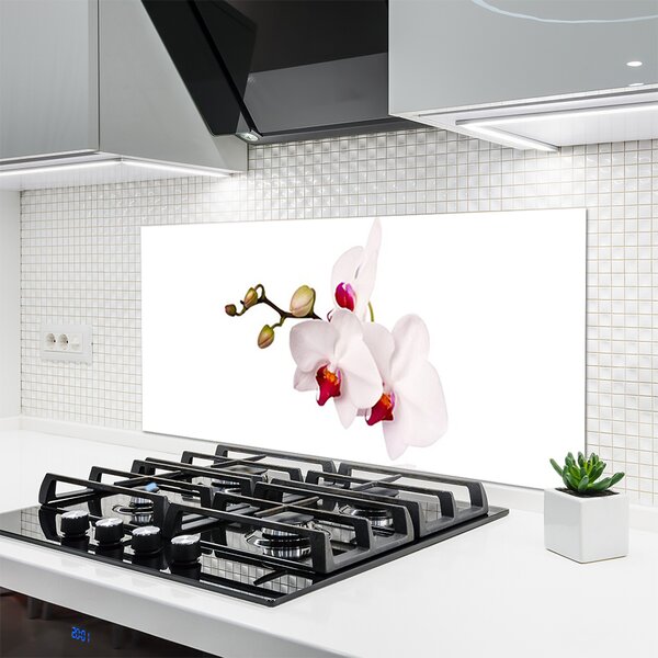 Panou sticla bucatarie Flori Floral Roz Alb